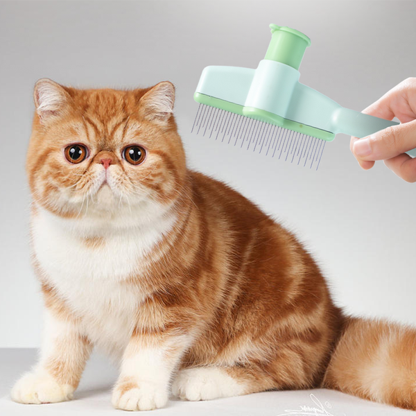 Flohkamm für Hunde und Katzen zur effektiven Fellpflege
