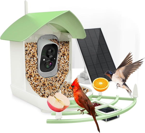 Intelligente Vogelhaus-Kamera mit HD-Videoüberwachung