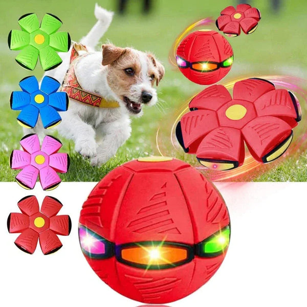 Fliegender Untertassen-Ball für Hunde