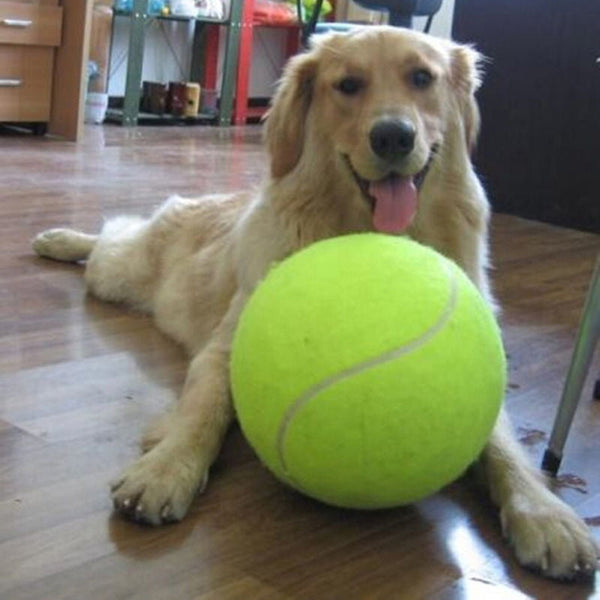 Großer Tennisball für Hunde – XXL – 24 cm Durchmesser