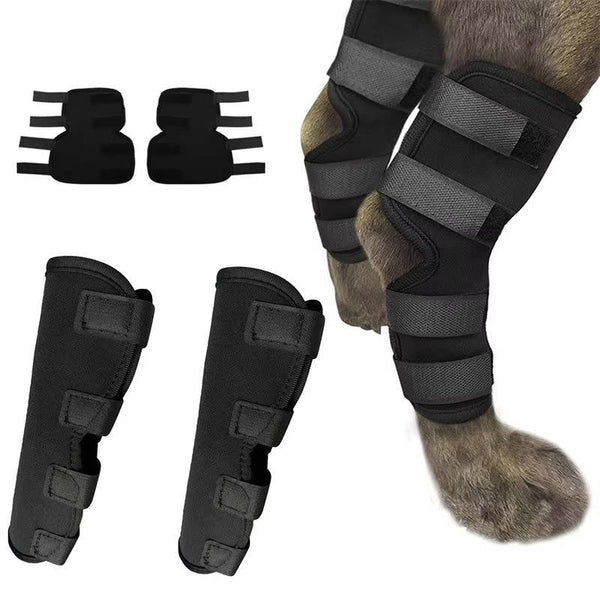 Orthopädische Stützbandagen für Hunde