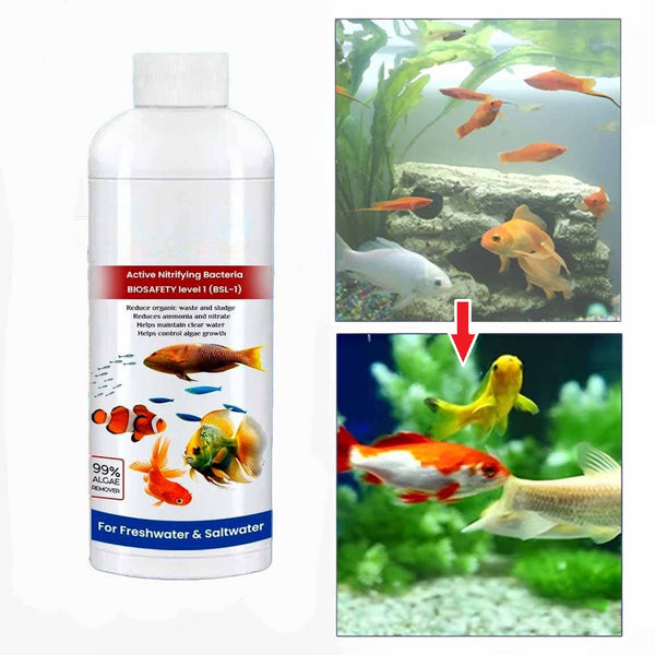 3er-Pack Flüssiger Aquarienreiniger
