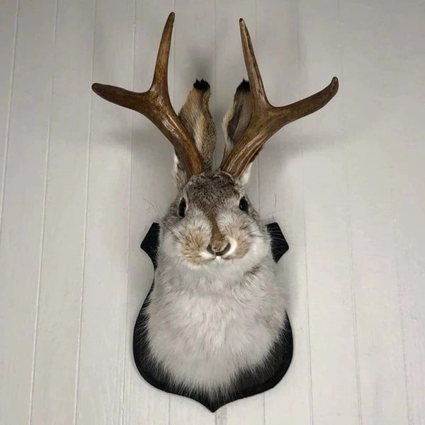 Dekorative Jackalope-Wandskulptur