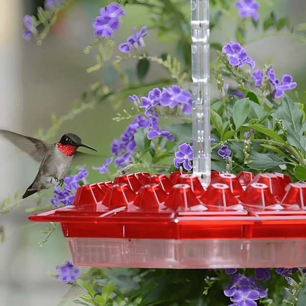 Kolibri-Futterstation mit integriertem Ameisenschutz