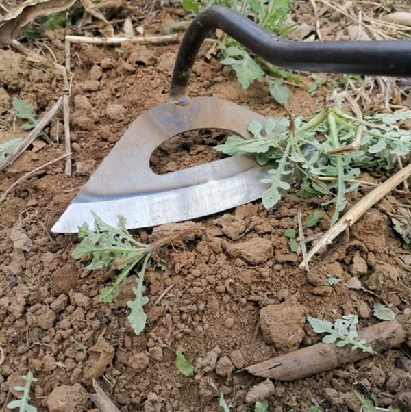 Vollstahl-Hohlhacke für die Gartenarbeit