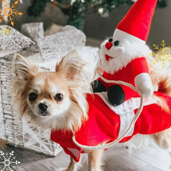 Weihnachtskostüm: Weihnachtsmann reitet auf einem Hund