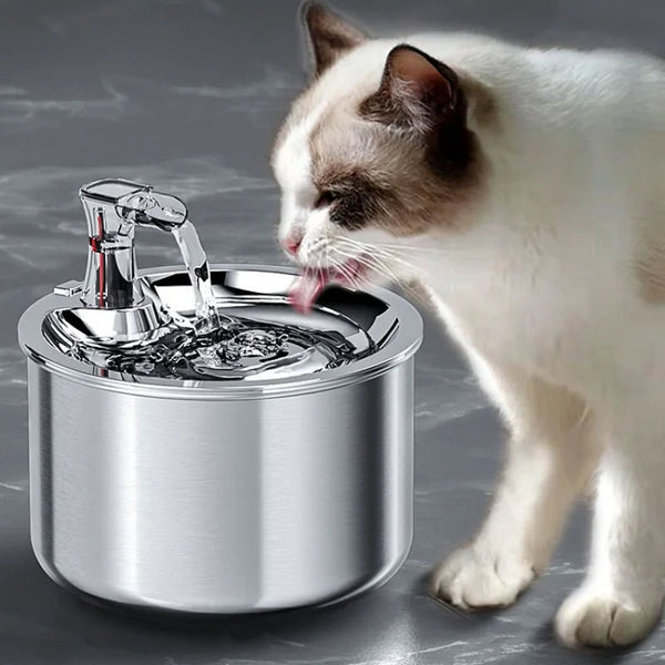 Edelstahl-Trinkbrunnen für Katzen mit Filter und Bewegungssensor