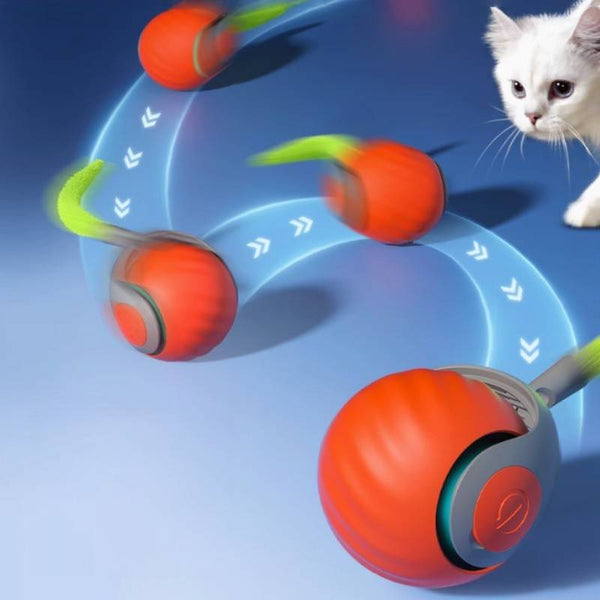 Interaktives Katzenspielzeug für Wohnungskatzen