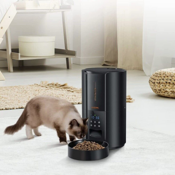 Exklusiver großer automatischer Futterspender für Hunde und Katzen mit Zeitschaltuhr