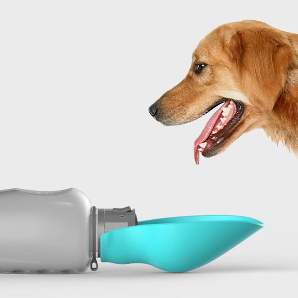 Tragbare Wasserflasche für Hunde