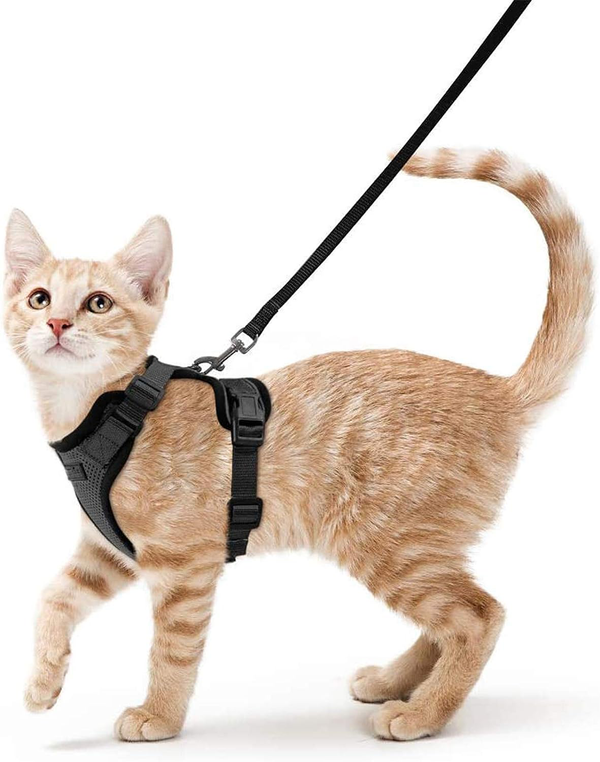 Ausbruchsicheres Katzengeschirr