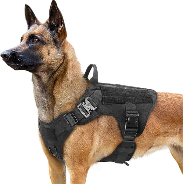 Taktisches Hundegeschirr ohne Zug