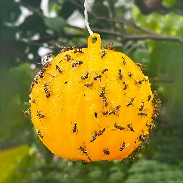 Hängende Fliegenfalle mit Klebeschicht (6 Stück)