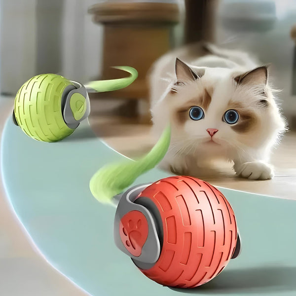 Interaktives, sich bewegendes Katzenspielzeug