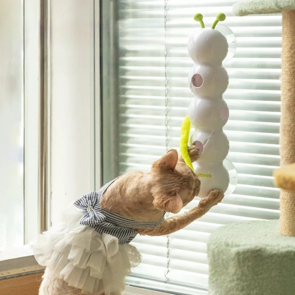 Interaktives Katzen-Spielzeug mit automatischem Pop-Up-Wurm
