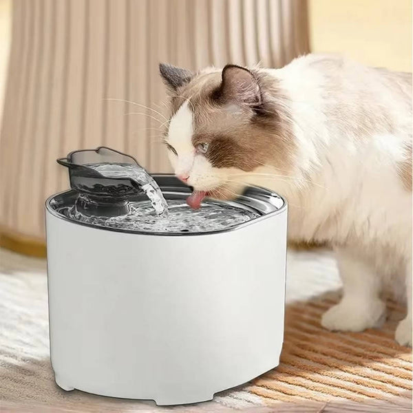 Automatischer Trinkbrunnen für Katzen