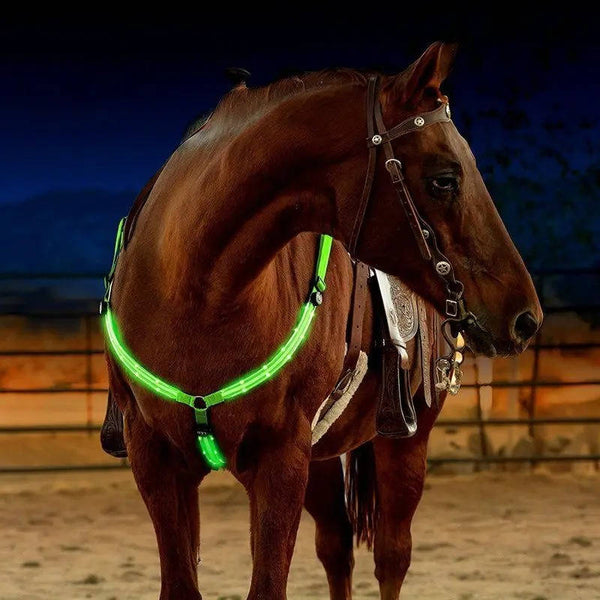 LED-Brustring für Pferde