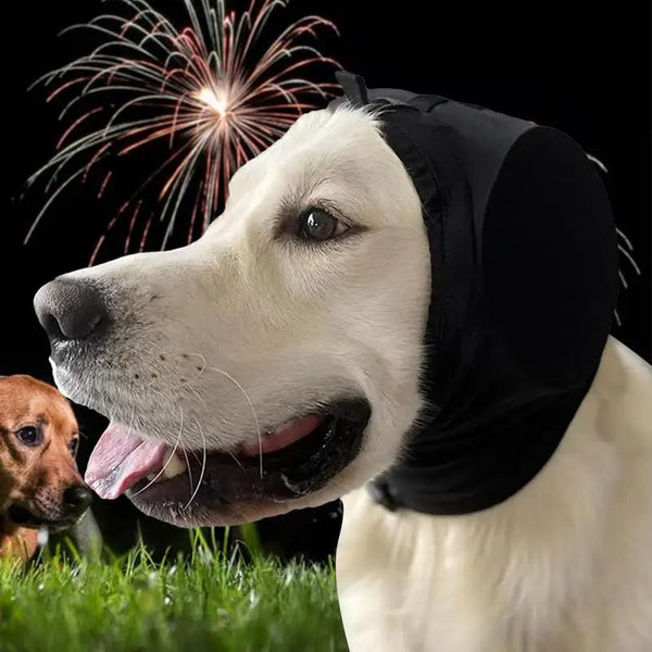 Hunde-Ohrenschützer zur Lärmreduzierung