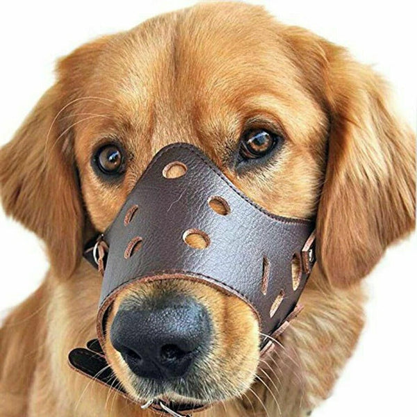 Atmungsaktiver Maulkorb für Hunde