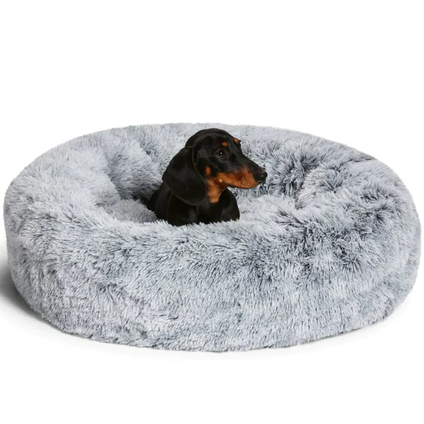 Beruhigendes Hundebett für erholsamen Schlaf