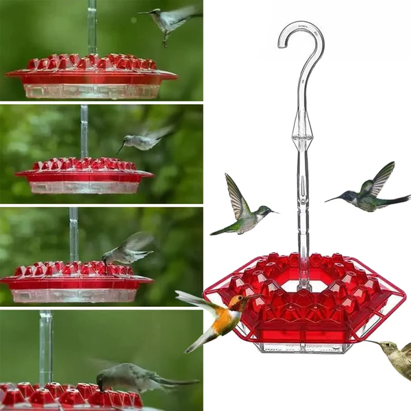 Ameisensicheres Kolibri-Futterhaus mit 30 bienenabweisenden Futterstellen