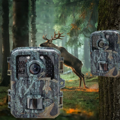 Kompakte 16MP Wildkamera mit Nachtsicht und PIR-Bewegungserkennung